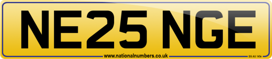 NE25 NGE