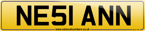 NE51 ANN