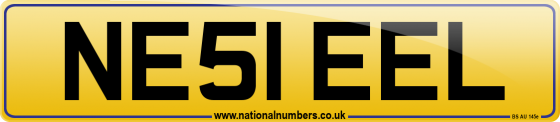 NE51 EEL