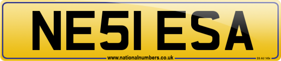 NE51 ESA