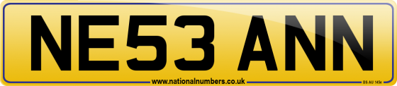 NE53 ANN