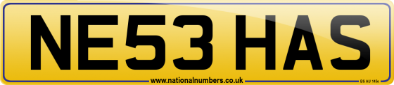NE53 HAS