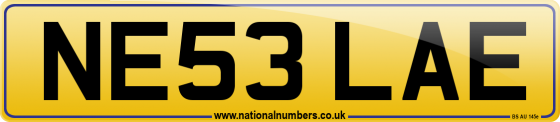 NE53 LAE