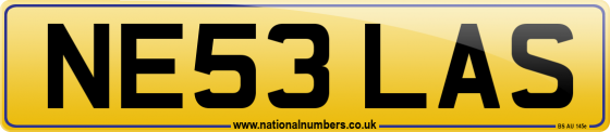 NE53 LAS