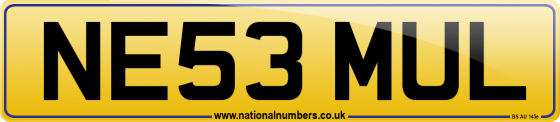 NE53 MUL