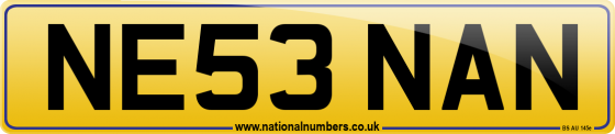 NE53 NAN