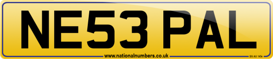 NE53 PAL