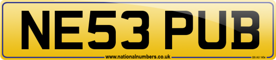 NE53 PUB