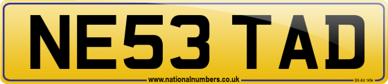 NE53 TAD