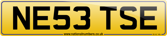 NE53 TSE