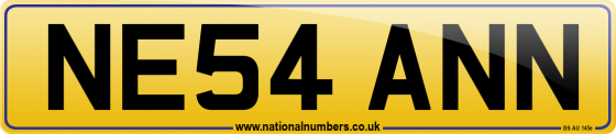 NE54 ANN