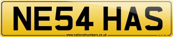NE54 HAS