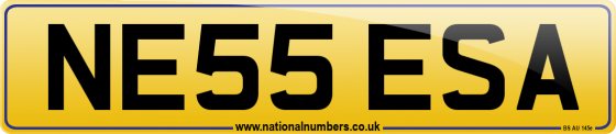 NE55 ESA
