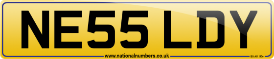 NE55 LDY