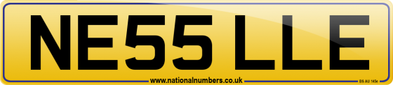 NE55 LLE