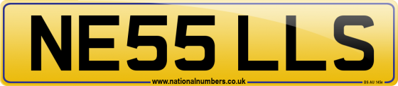 NE55 LLS