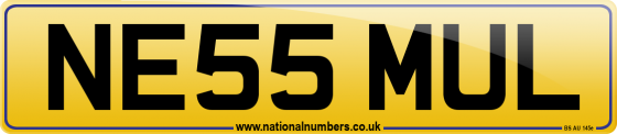 NE55 MUL