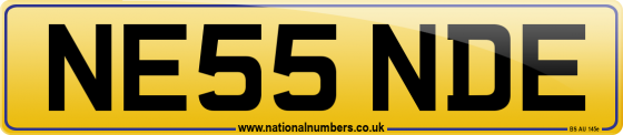 NE55 NDE