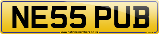 NE55 PUB