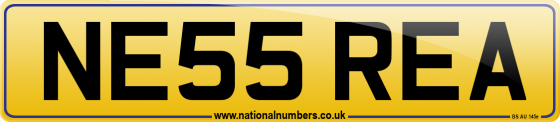 NE55 REA
