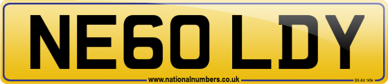 NE60 LDY