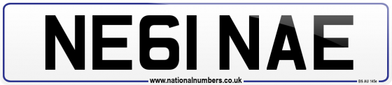 NE61 NAE