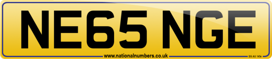 NE65 NGE