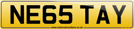 NE65 TAY