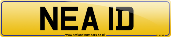 NEA 1D