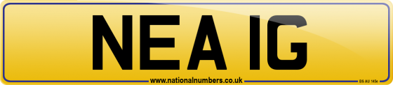 NEA 1G