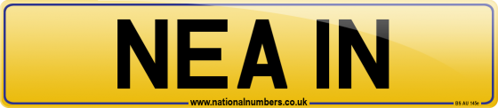 NEA 1N