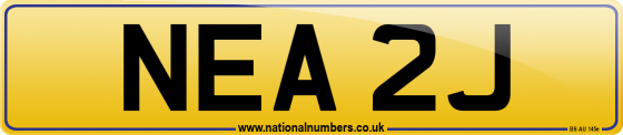 NEA 2J