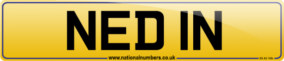 NED 1N