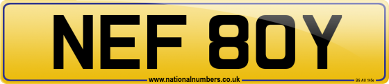 NEF 80Y