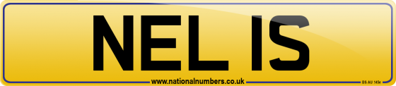 NEL 1S