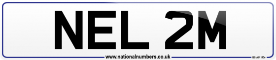 NEL 2M