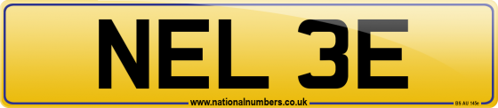 NEL 3E