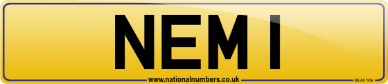 NEM 1