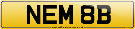 NEM 8B