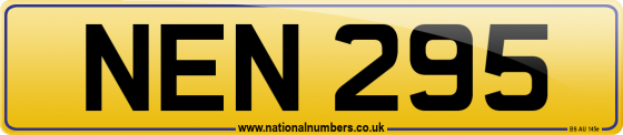 NEN 295