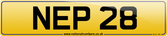 NEP 28