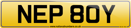 NEP 80Y