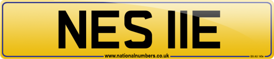 NES 11E