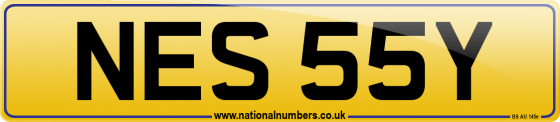 NES 55Y