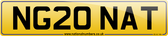 NG20 NAT