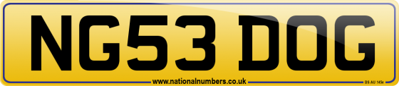 NG53 DOG