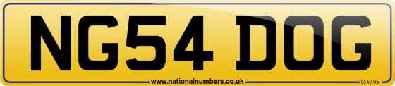 NG54 DOG