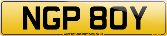 NGP 80Y