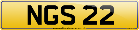 NGS 22