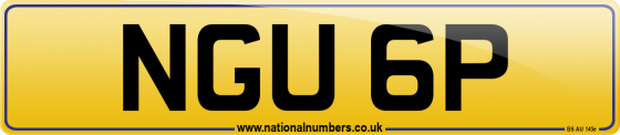 NGU 6P